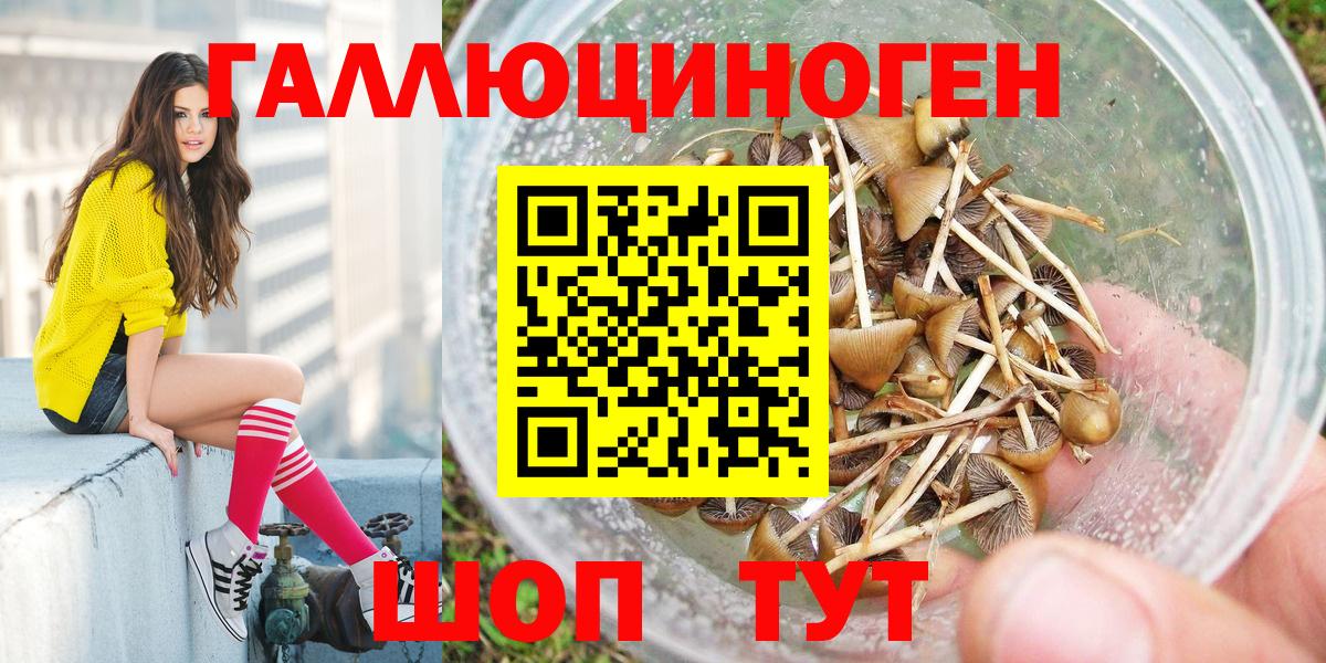 Галлюциногенные грибы Magic Shrooms Клинцы