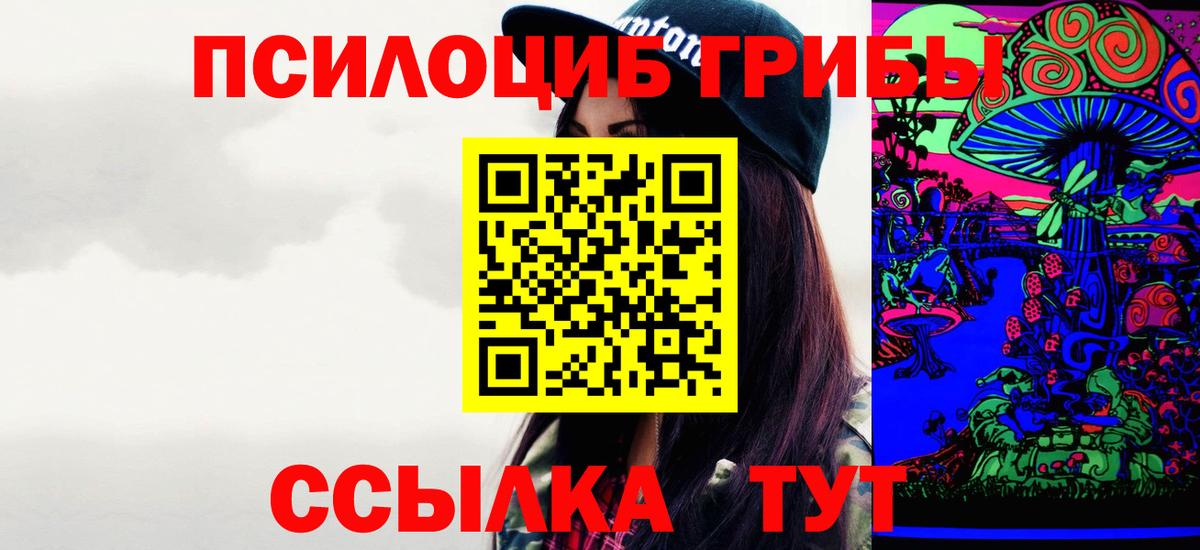Клинцы  Галлюциногенные грибы Psilocybe  Вход с VPN  Псилоцибиновые грибы мицелий 